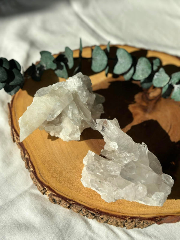 Large Clear Quartz Cluster • Clarity, Transformation, Amplification