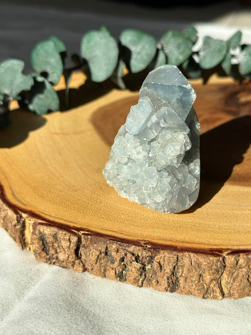 Raw Celestite Cluster • Creativity, Meditation, Dreams