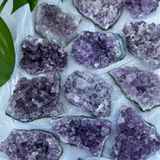 Amethyst Cluster • Serenity, Peace, Clarity