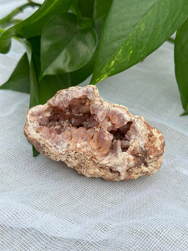 Pink Amethyst Cluster #1 • Love, Positivity, Emotional Healing