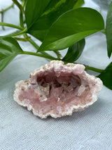 Pink Amethyst Cluster