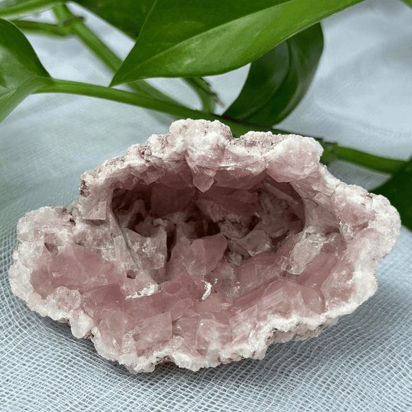 Pink Amethyst Cluster #12 • Love, Positivity, Emotional Healing