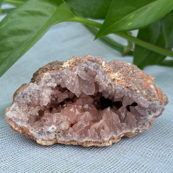 Pink Amethyst Cluster #16 • Love, Positivity, Emotional Healing