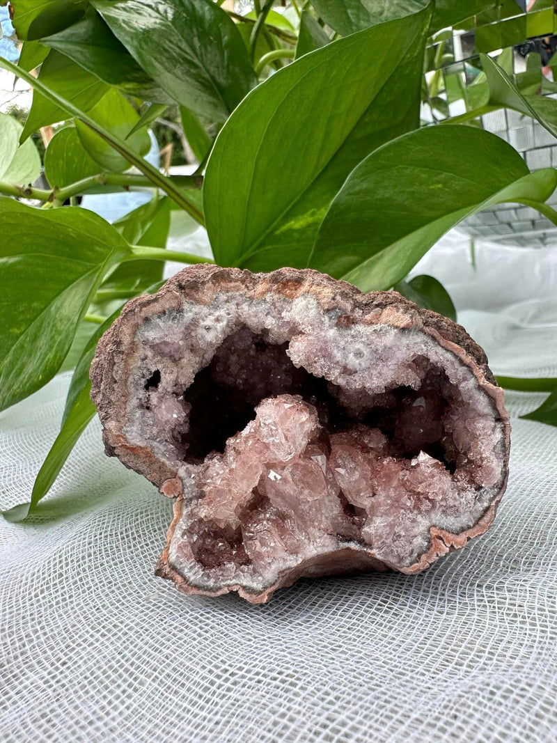 Pink Amethyst Cluster #18 • Love, Positivity, Emotional Healing