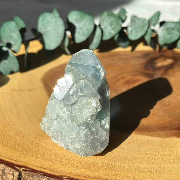 Raw Celestite Cluster • Creativity, Meditation, Dreams